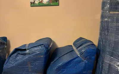 İkramoğlu Evden Eve Nakliyat: Kartal ve İstanbul genelinde profesyonel eşya taşımacılığı, asansörlü nakliyat ve sigortalı taşıma hizmetleri. Hemen teklif alın.